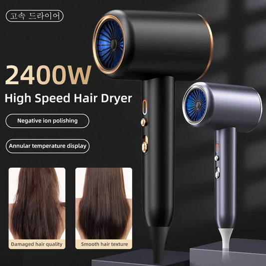 Professional 2400W Hair Dryer - Stylish Expression